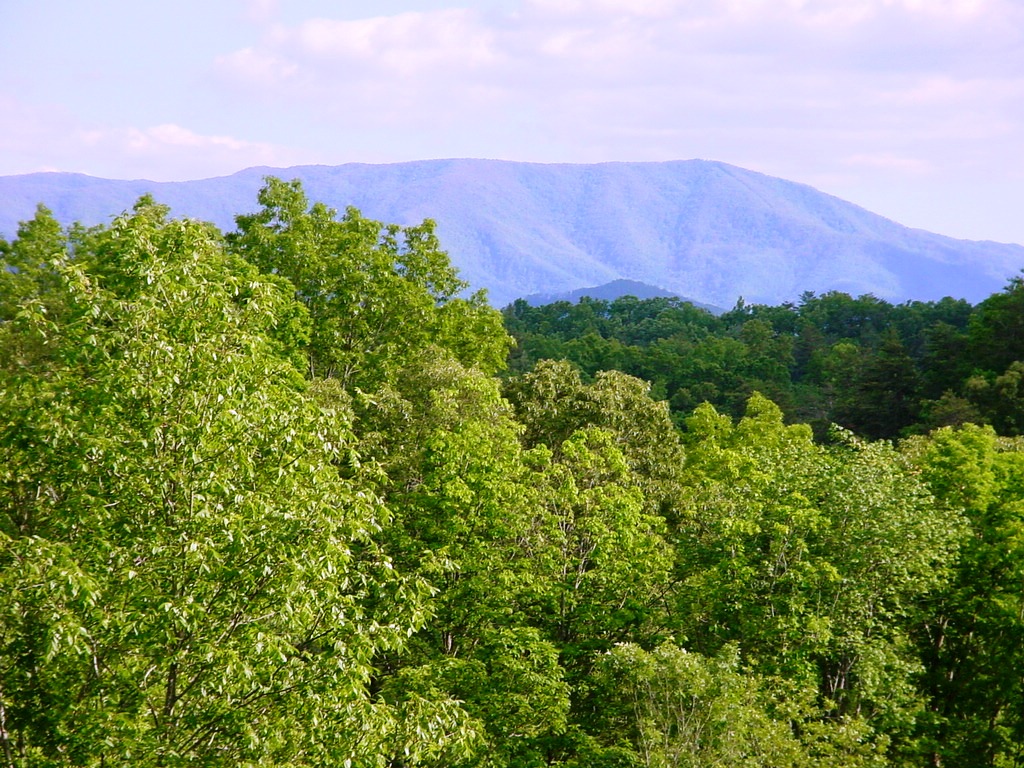 Beautiful Mountain View in a wooded area, with the secludion of the Nichoa area.